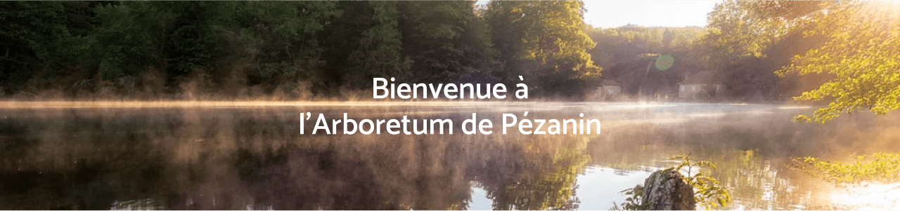 Bandeau de bienvenue